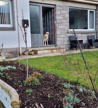 Bb@No17 Bed and Breakfast Aviemore Buitenkant foto