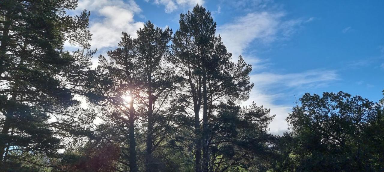 Bb@No17 Bed and Breakfast Aviemore Buitenkant foto