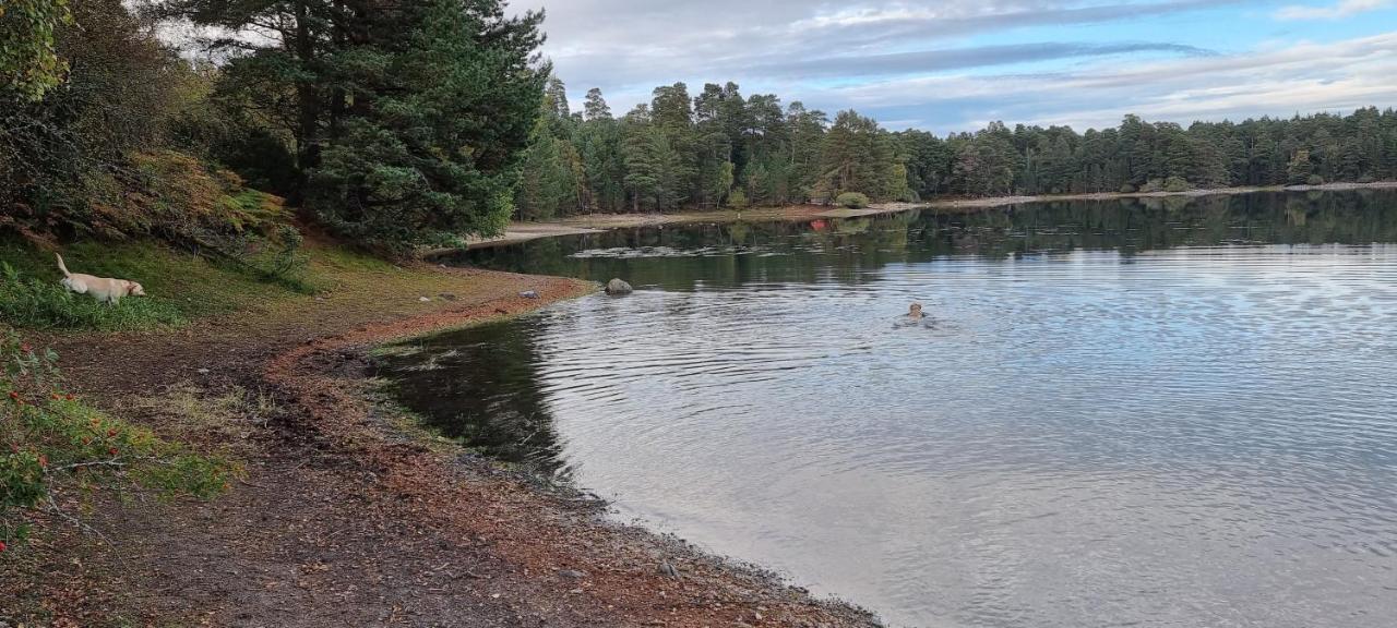 Bb@No17 Bed and Breakfast Aviemore Buitenkant foto