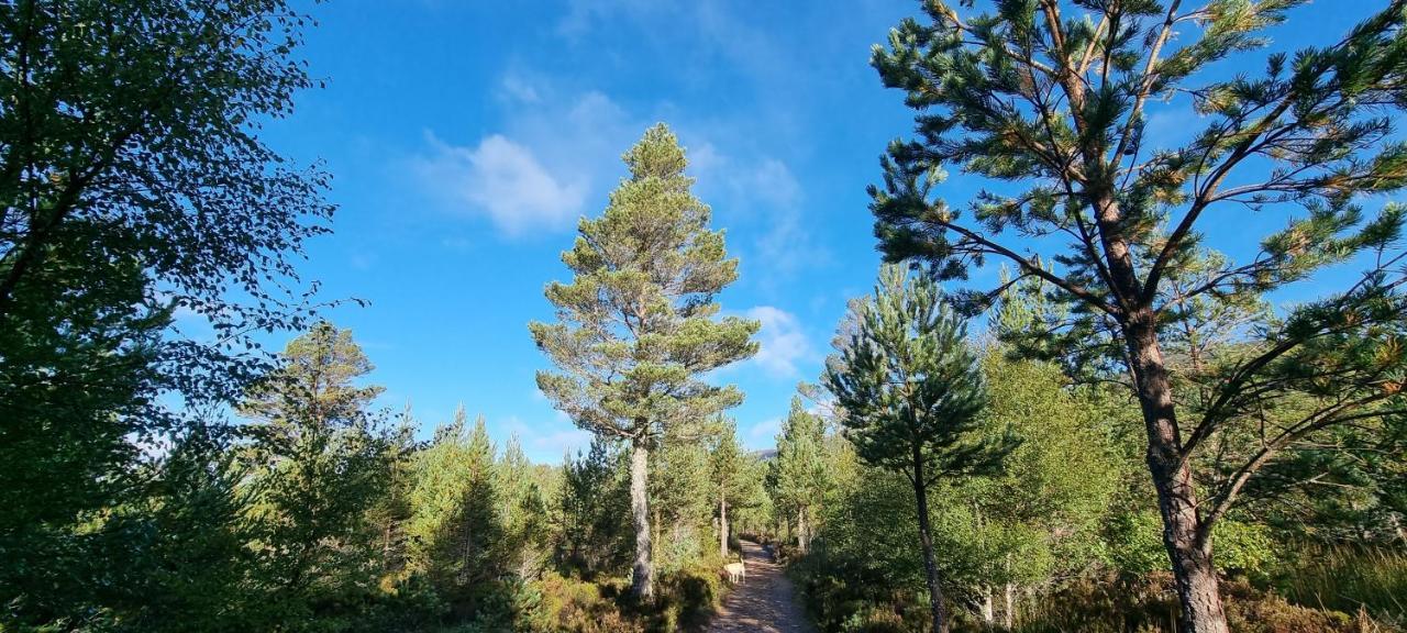 Bb@No17 Bed and Breakfast Aviemore Buitenkant foto