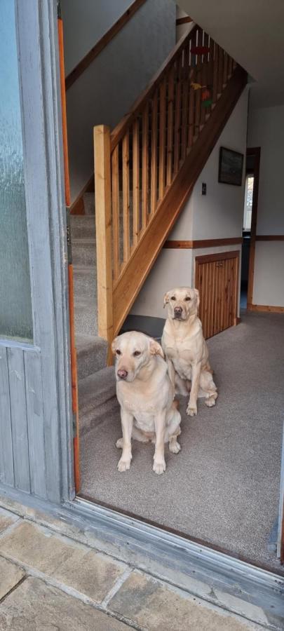 Bb@No17 Bed and Breakfast Aviemore Buitenkant foto